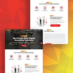 Website Design and Development